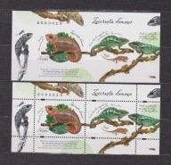 Nowodruki AB Zwierzeta Domowe Fi 5472 czyste 2025