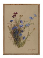 Chabry, reprint pięknej akwareli, kwiaty łąkowe. Grafiki do wystroju domu