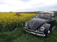 Przejazd Volkswagenem 1300 „Garbus” 1967 w roli pasażera | WOŚP