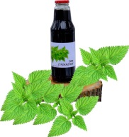 Sok z pokrzywy 0,75l 100% Natury +GRATISY!! Syropisok