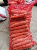 Marchew świeża niemyta 10 kg OD ROLNIKA
