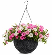 Wisząca Doniczka Kwietnik Szara z Wkładem i Łańcuchem 26cm Zestaw