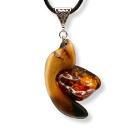 WISIOREK "BURSZTYN bałtycki" - ZAKLĘTA SIŁA NATURY, OCTOWIEC, PIROGRAFIA