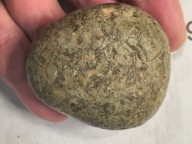 Skamieliny koralowce minerały