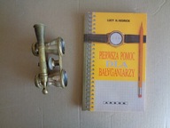 Pierwsza pomoc dla bałaganiarzy Lucy H. Hedrick