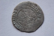 PÓŁGROSZ LITEWSKI ZYGMUNT I STARY SREBRO - CL488