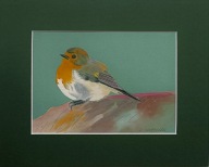 ptak rudzik akwarela na papierze