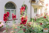 Dom, Pobierowo, Rewal, Gryficki, 517 m²