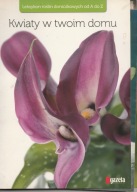 Kwiaty w twoim domu – leksykon roślin doniczkowych
