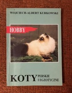 „Koty Perskie i Egzotyczne” Wojciech-Albert Kurkowski