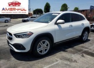 Mercedes-Benz GLA 250 2021 2.0l 2.0 Benzyna 221KM
