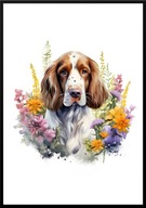A2 PLAKAT PIES W KWIATACH RASA SPRINGER SPANIEL WALIJSKI