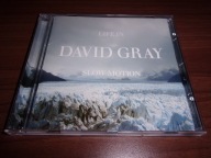 David Gray - Life In Slow Motion