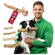 GRYZAK Z DRZEWA KAWOWEGO PATYK DLA PSA XL BARDZO TWARDY NATURALNY MOCNY