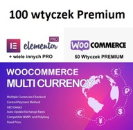 CURCY WooCommerce Multi Currency Currency Switcher