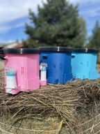 bezprzewodowy zestaw do inhalacji konia