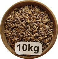 Ostropest Plamisty Konsumpcyjny/Paszowy, od Rolnika, Polski, 10kg, 2025r