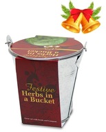Świąteczny X-MAS zestaw do uprawy ziół w wiaderku + GRATISY
