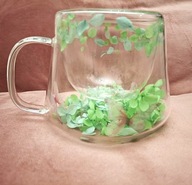 KUBEK SZKŁO TERMICZNY 3D SUSZONE KWIATY WIŚNI PODWÓJNE DNO KWIATKI MOTYLE