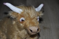 pluszak maskotka krowa szkocka wyżyna 26 cm