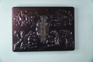 Total war wahammer III pc steelbook BRAK KLUCZA