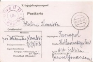 OFLAG II D -GROSS-BORN -obieg 1943 rok do TARNOPOL GG -karta