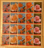 Ajman 1972 ** cięte cena 22,90 zł kat.20€ - flora, arkusz