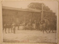 WOJSKO - WOJSKOWI, ŻOŁNIERZE - KONIE 1946 rok