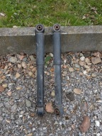 Amortyzatory Volkswagen T5 7H0513029D - 2 sztuki