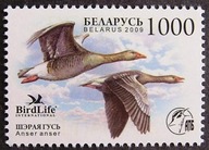 Białoruś - Mi 762 - Gęgawa