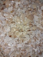 Skruszone skorupki jaj kurzych