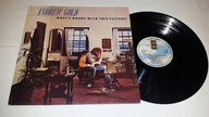 Andrew Gold – What's Wrong With This Picture? LP
