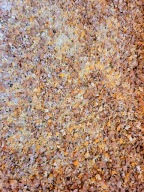 Mieszanka paszowa pasza kur drobiu kaczek gęsi 20k