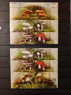 Blok Fi 266** (d. 236) kombinacje z przywieszkami (2)