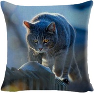 Ozdobna poszewka, jasiek na poduszki - Kot - 45 x 45 cm produkt unisex