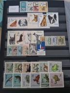 polska rocznik 1963 **