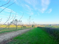 Dom, Mogielnica, Boguchwała, Rzeszowski, 110 m²