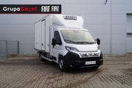 Fiat Ducato Maxi 2.2180KM izoterma 4,2x2,1x2,1, agregat Carrier, WYPRZEDAŻ