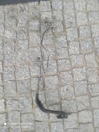 CZUJNIK CISNIENIA SPALIN 9677816180 - Peugeot citroen toyota opel 1.5 HDI