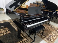 PIĘKNY, CZARNY FORTEPIANESTONIA
