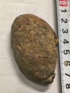 Agat mszysty muszlowy