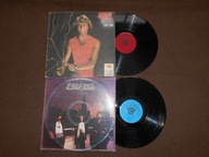 Living Eyes Bee Gees plus Andy Gibb 2 X Winyl EX-