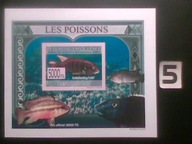 Ryby , Guinee , MNH cięty