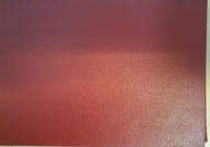 XX Międzynarodowy Spływ Kajakowy BRDA 75r emblemat