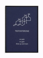 Plakat na siłownie A3 w ramce| Motywacja | Gym | Fitness | Wzory do wyboru