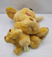 Psiaczek PIESEK o prześlicznym smutnym spojrzeniu