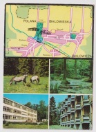 Polana Białowieska TARPANY Białowieża Tech. Leśne Hotel Iwa 1986r. MAPKA