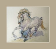 MALARSTWO -PORTRET KONIE KOŃ SIWY- AKWARELA
