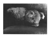 Pocztówka - M. de Vries, Zapomniany stareńki pluszowy miś / OPIS !!!