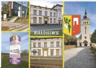 BIAŁOŚLIWIE-HERB WOJ WIELKOPOLSKIE